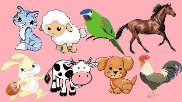 Bé học con vật | các con vật | con vật nuôi | chó, mèo, gà, bò, ngựa, cừu, vẹt, chuột, thỏ, ngỗng