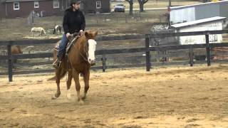 PATH pattern 2014 Robbie/Janette