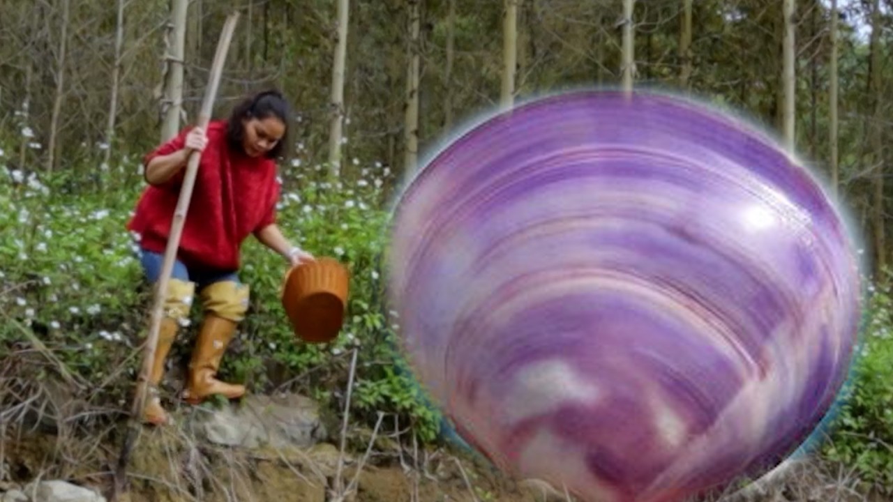 🔥🔥  Girl battles giant wild clam: she awakens a sleeping ancient underwater beast!
