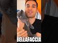 I NUOVI GATTINI DI BELLAFACCIA!❤️🐱 #giox97 #bellafaccia #shorts #short #gatto #minecraft #roblox