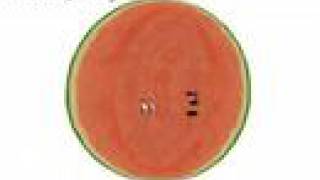 Lapped Solid Textures (SIGGRAPH 2008)