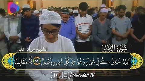 Teravih 2018 Hafız Murat Ali Nematov , Zümer suresi 62-75 / ٦٢-٧٥ مراد على سورة الزمر  @MurodaliTv