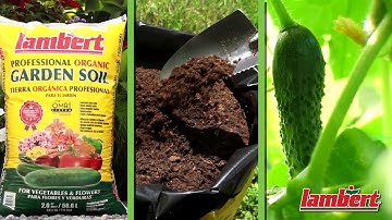 How to showcase your product & increase sales with VIDEO and 360 Video