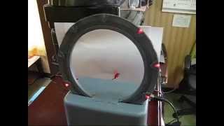 The completed stargate project
