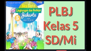Kelas 5 SD / MI ||  PLBJ Bab 2 Membuat Replika Monas || Hln 15 - 28 || Lingkungan & Budaya Jakarta |