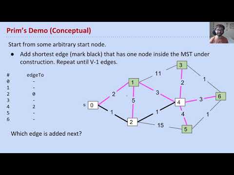 vid6 prims conceptually