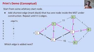 vid6 prims conceptually