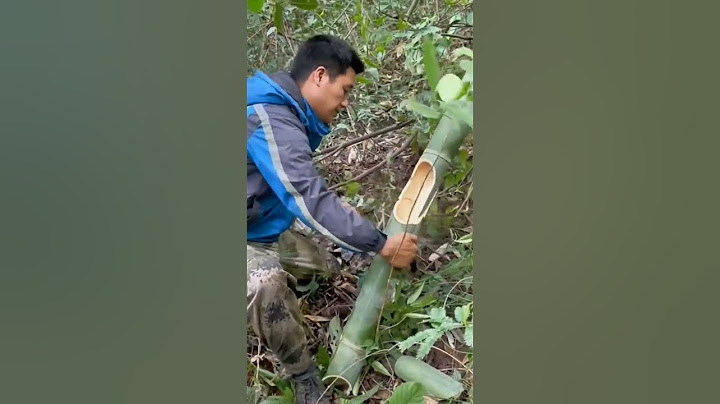 Bamboo drinking water #viral #shortvideo #environment