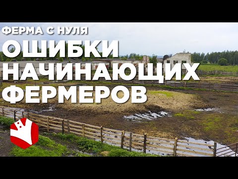 Фермерское хозяйство с нуля | Ошибки начинающих фермеров | Мясное животноводство