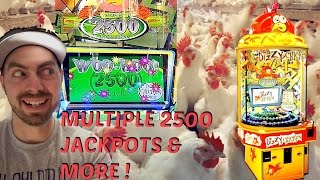 Dizzy Chicken How many 2500 Ticket Jackpots Can I Get?? Arcadejackpotpro