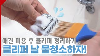 클리퍼 날 분해부터 물청소까지! 간단하게 익혀봐요! - 애견 미용 꿀팁!