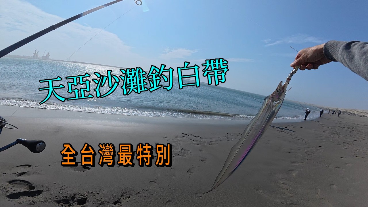 在全台灣最特別的沙灘釣場,用天亞秋刀魚釣白帶魚!#南投小江 #釣魚 #Fishing #Mancing #釣り