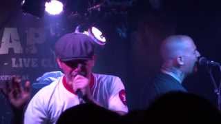 Street Dogs - 10 Wood Rd (live 2013)