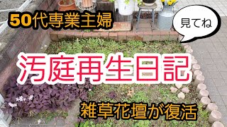 50代vlog 汚庭再生日記雑草だらけの花壇が可愛くなったよ Youtube 50代vlog 汚庭再生日記雑草だらけの花壇が可愛くなったよ Youtube