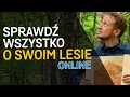 Bank Danych o Lasach - czyli wszystko o lesie, zwierzętach i grzybach za Twoim domem. 🌲o Lesie #39