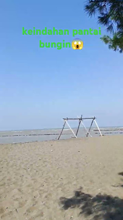 keindahan pantai Bungin👉 terletak di kp.bungin DS.pantai bakti kab.bekasi
