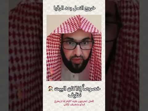 خروج النمل بالبيت بعد الرقيا على ماذا يدل فارس التفسير اكسبلور