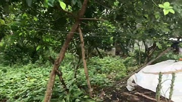 Đất mặt tiền quốc lộ 14e gần cầu Thanh Niên thị trấn tân bình,hiệp đức 10x52 0386889180(zalo/sđt)