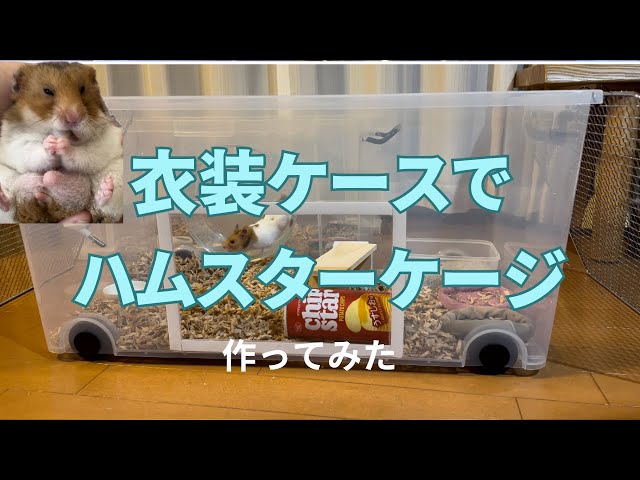 ハムスター】衣装ケースをハムスターが暮らせるように改造してみたら
