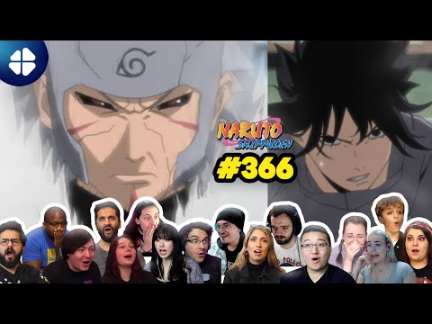       366  