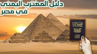 دليل المغترب اليمني في مصر