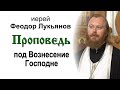 Проповедь под Вознесение Господне (2021.06.09). Иерей Феодор Лукьянов