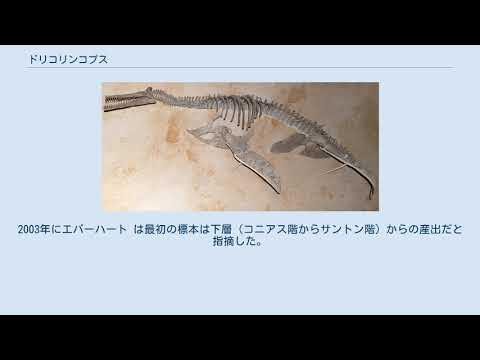 ドリコリンコプス YouTube