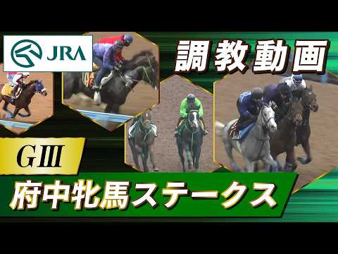 【調教動画】2026年 府中牝馬ステークス｜JRA公式