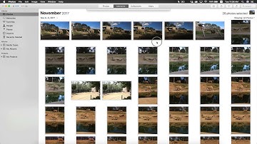 How to Export/Organize Apple Photos - ON1 Photo RAW