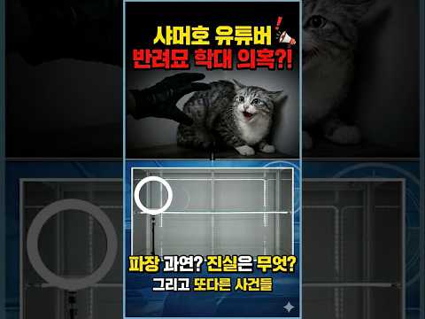 샤머호 유튜버의 반려묘 학대의혹 파장 과연?진실은 무엇? #뉴스 #뉴스데스크 #뉴스투데이 #유튜버 #샤머호 #동물학대강력처벌 #반려묘