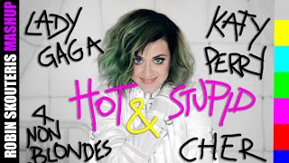 Katy Perry / Lady Gaga / Cher / 4 Non Blondes - HOT &amp; STUPID  (Robin Skouteris MASHUP Mix)