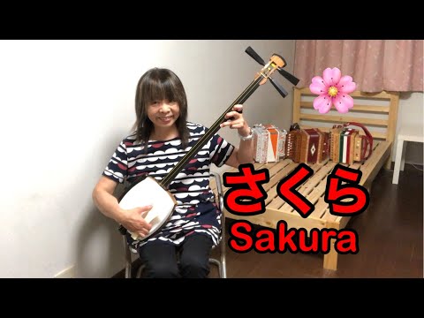 『三味線』超初心者が「さくら🌸 -Sakua♫」を弾いてみた😅 。津軽三味線 - Tsugaru SHAMISEN。ジャズpopピアニスト。南イタリア伝統楽器オルガネット奏者🪗。日本の伝統楽器。