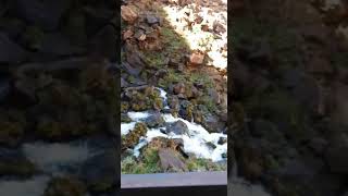 Cascada La Fragua Manzano Amargo Norte Neuquino