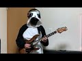 【弾いてみた】ピンキーフック【麻倉もも】
