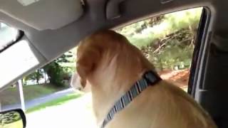 My Quiet Passenger
