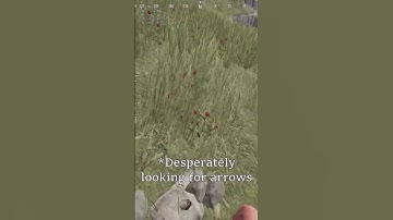 He will never trust again... (RUST)  #rust #shorts