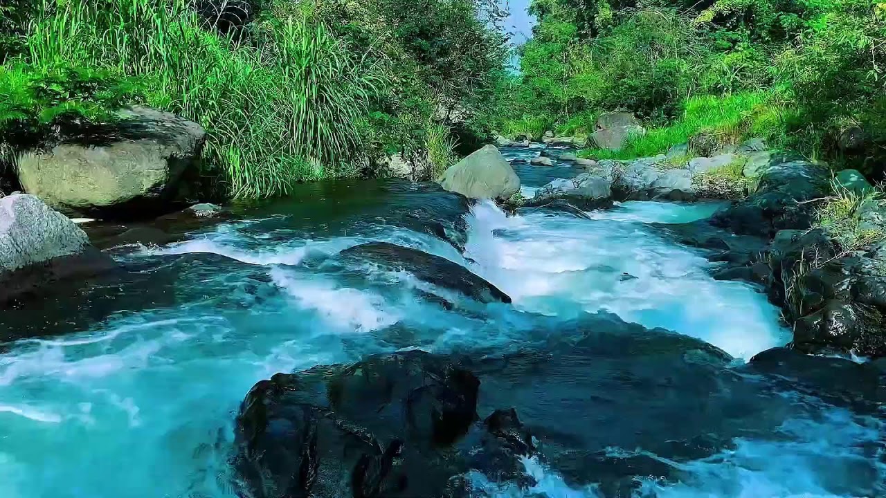 Flowing Mountain Stream Sounds, Forest River Calm Water, Sleep