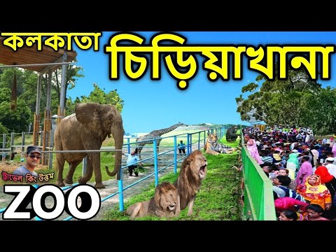 আলিপুর চিড়িয়াখানা ভ্রমণ  kolkata zoo,  alipur zoo,  zoo after lockdown,  kolkata chiriakhana