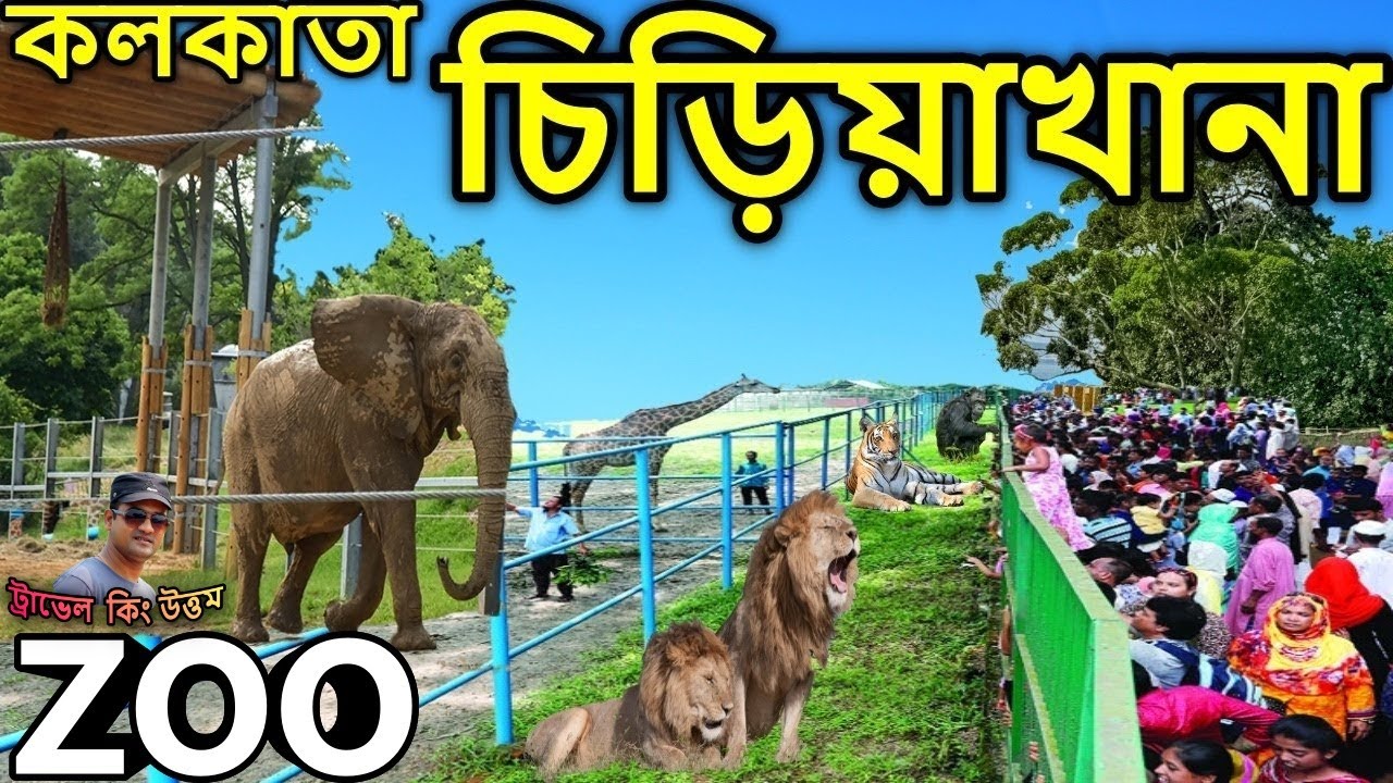 Download আলিপুর চিড়িয়াখানা ভ্রমণ  kolkata zoo,  alipur zoo,  zoo after lockdown,  kolkata chiriakhana