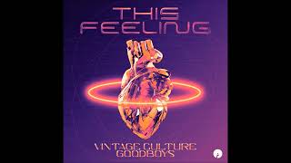 Vintage Culture & Goodboys - This Feeling