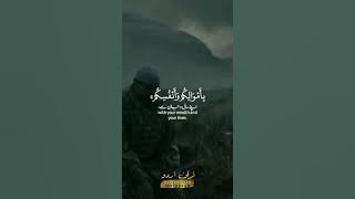 Islamic whatsapp status video, Quran recitation status