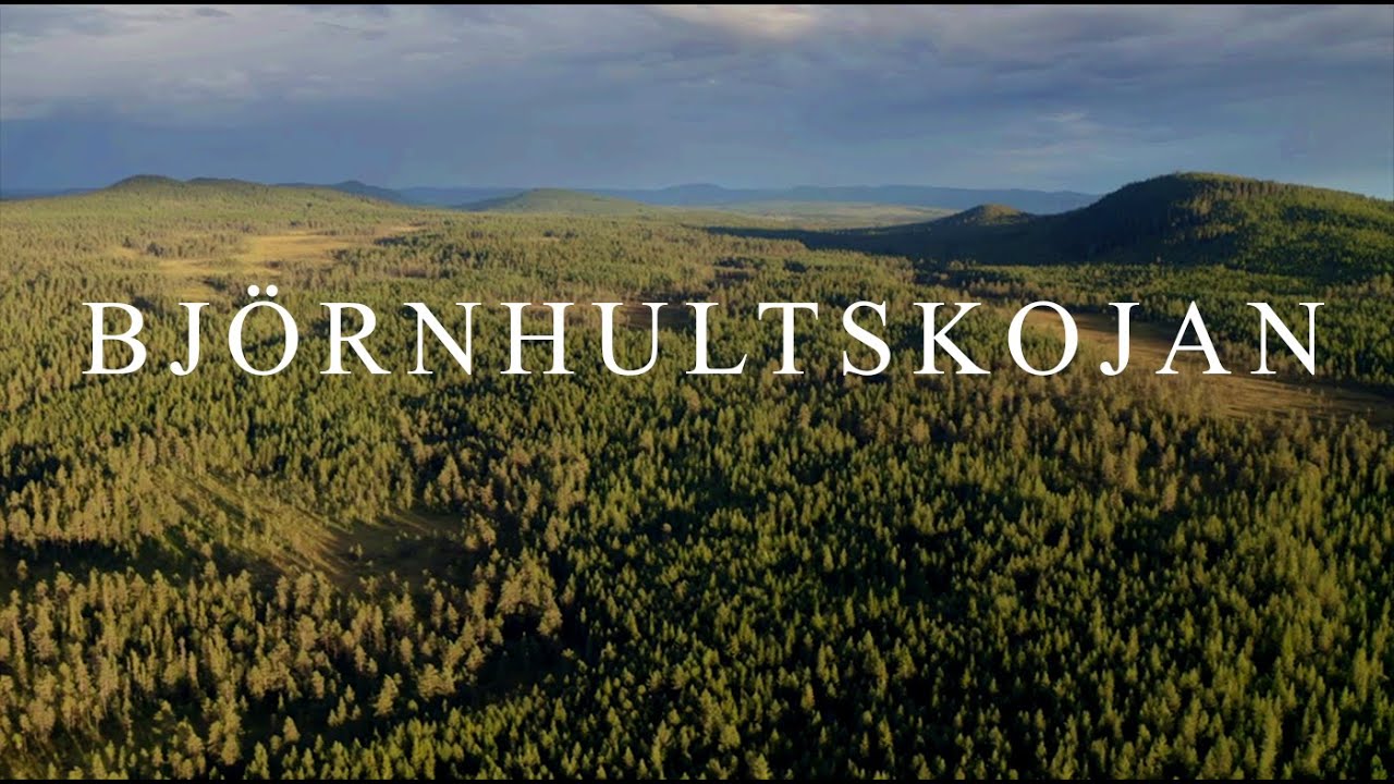 Björnhultskojan Södra Finnskoga Norra Värmland Finnskogen