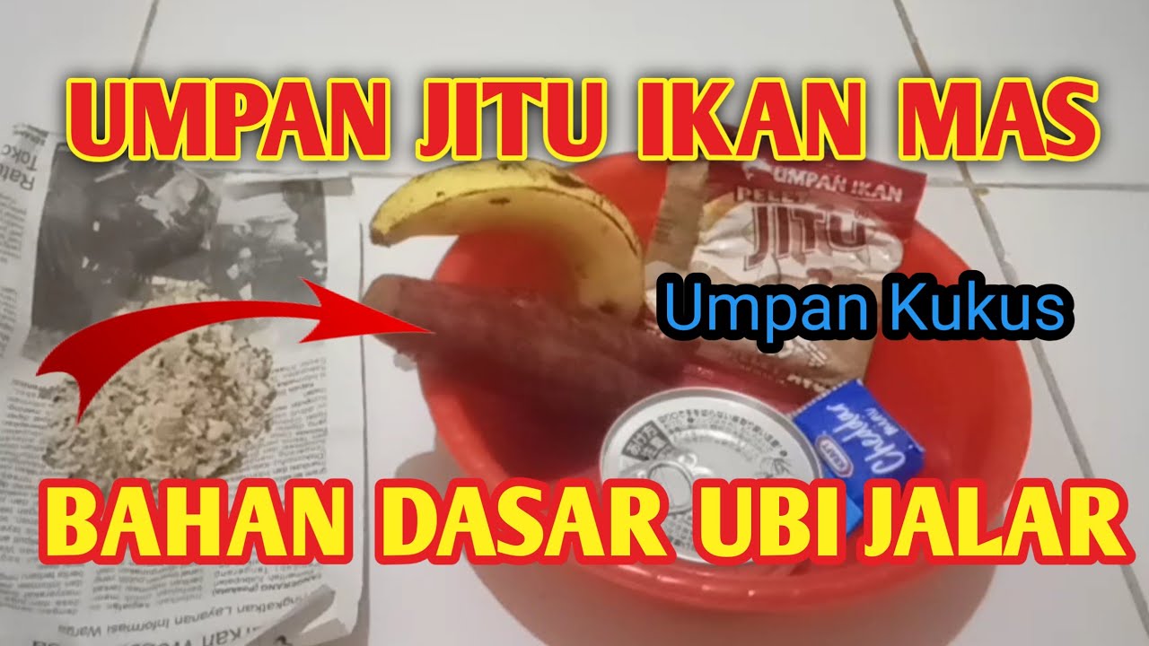 UMPAN JITU IKAN MAS BAHAN DASAR UBI JALAR//Langsung test