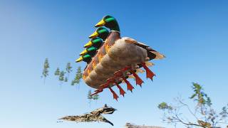 んoon - SEE YA - hoon