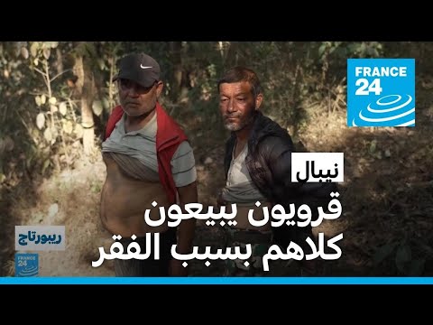 نيبال.. عندما يدفع الفقر فرداً واحداً على الأقل من كل أسرة لبيع كليته • فرانس 24 / FRANCE 24