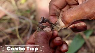 New Fishing Tips - Boys Making Fish Trap Using Bottle Glass With Knots | Technique Of Catching Fish