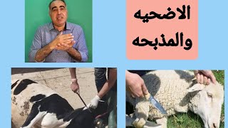 هذا الفيديو يؤكد أن الاضحيه مذبحه ولكن