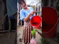 how to pour water into the pot H.Mongfamily #survival #shorts