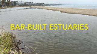 Bar-Built Estuaries