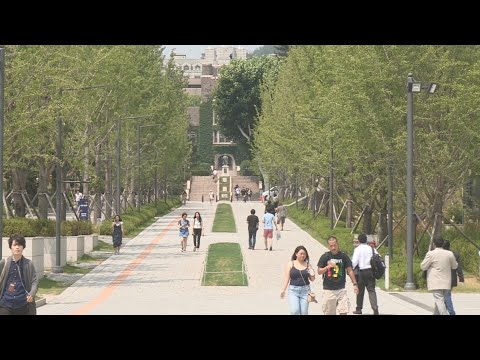 대학가 '반수'의 계절…"취업난에 문과에서 이과로" / 연합뉴스TV (YonhapnewsTV)